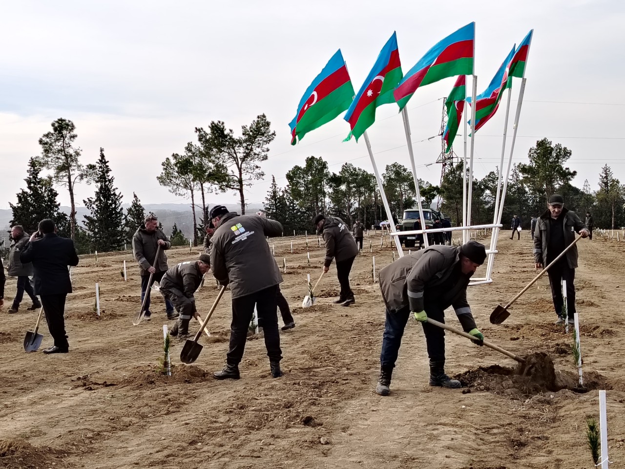 Ağstafa və Tovuzda 4 mindən çox ağac əkildi - FOTOLAR